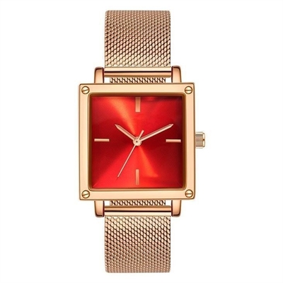 Dial de cuero/de Mesh Strap Women Quartz Wrist del reloj los 30M Life Waterproof Square no de la escala