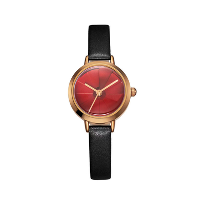 Las mujeres a prueba de choques del cuarzo de Shell Casual Automatic Watch Waterproof miran