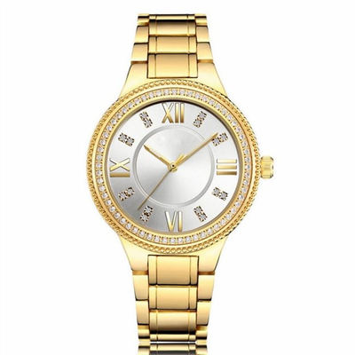 Correa de Diamond Set Steel Belt los 20cm del reloj del cuarzo de las mujeres del caso de Aolly