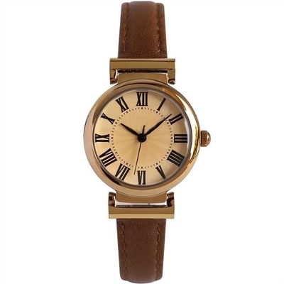 Prenda impermeable mineral del vidrio los 30m de los relojes de Roman Numerals Belt Quartz Battery
