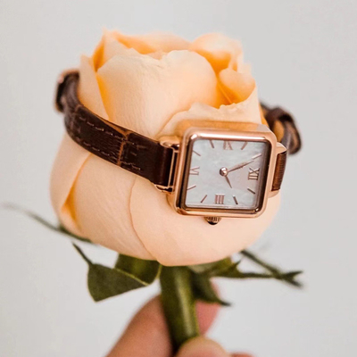 Moda cuadrada para mujer Roman Watch Slim Belt del pequeño reloj de cuero de Brown